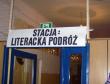 Wieczornica fotografia nr 1